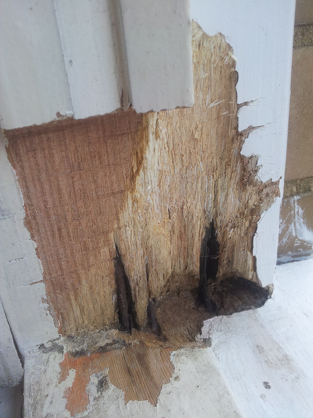 Rotted timber window frame with damaged wood exposed